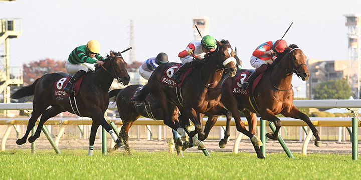 東京スポ杯2歳Sを制したガストリックと三浦騎手（右）、中央は2着ダノンザタイガー（撮影・柴田隆二）＝2022年11月19日、東京競馬場