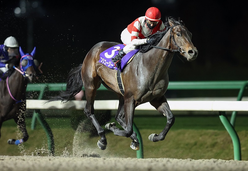 南部駒賞を制したフジユージーン（岩手県競馬組合提供）