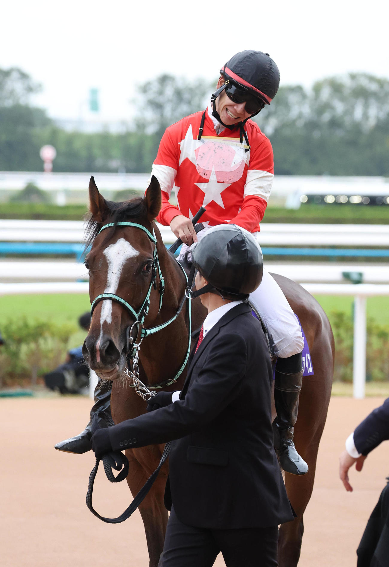 2着に敗れたルージュエヴァイユ。鞍上の松山騎手はがっくりと肩を落とす（撮影・白石智彦）
