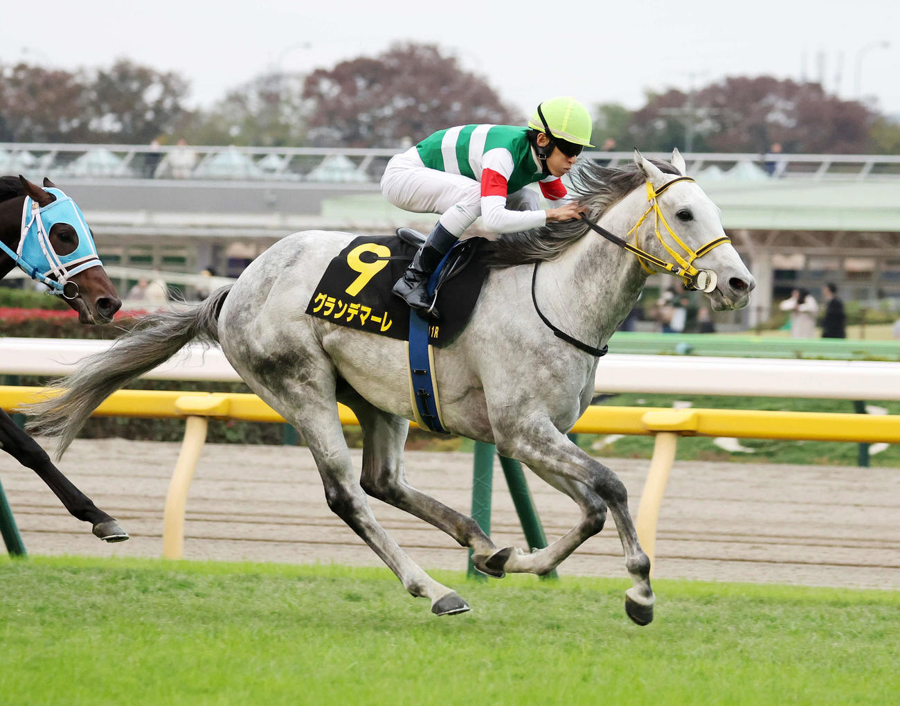 オーロCを制したグランデマーレと津村明秀騎手（撮影・鈴木正人）