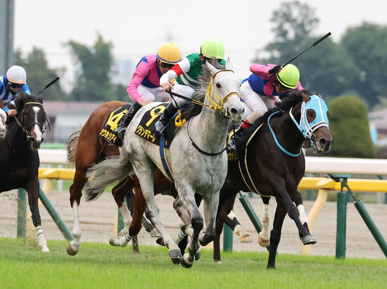 オーロCを制したグランデマーレ（中央）と津村明秀騎手（撮影・鈴木正人）