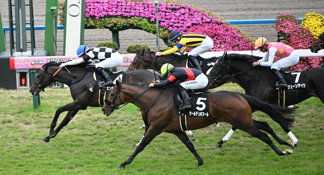京都9R黄菊賞　中央から押し切り黄菊賞を制したセンチュリボンド（撮影・和賀正仁）