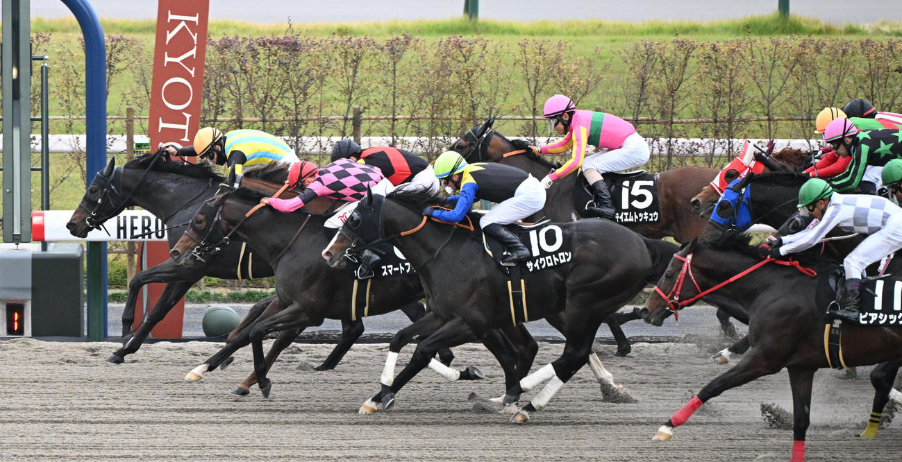 京都10R室町ステークス　ゴール前の激戦をしのぎ室町Sを制したアイスリアン（左）（撮影・和賀正仁）