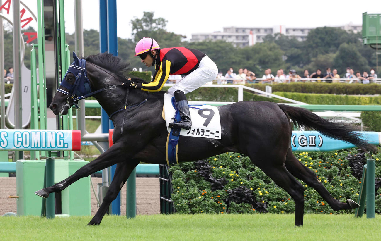 フォルラニーニ（2023年9月9日撮影）
