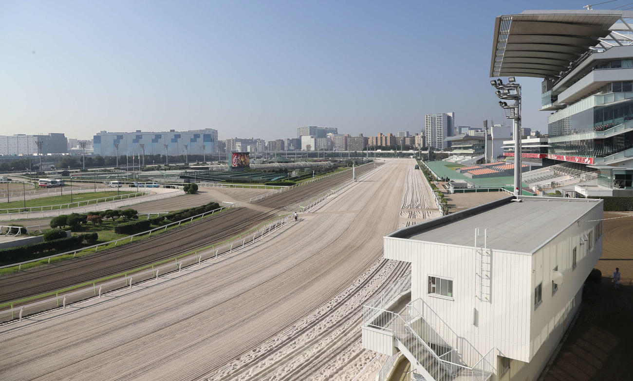 大井競馬場（2023年11月3日撮影）