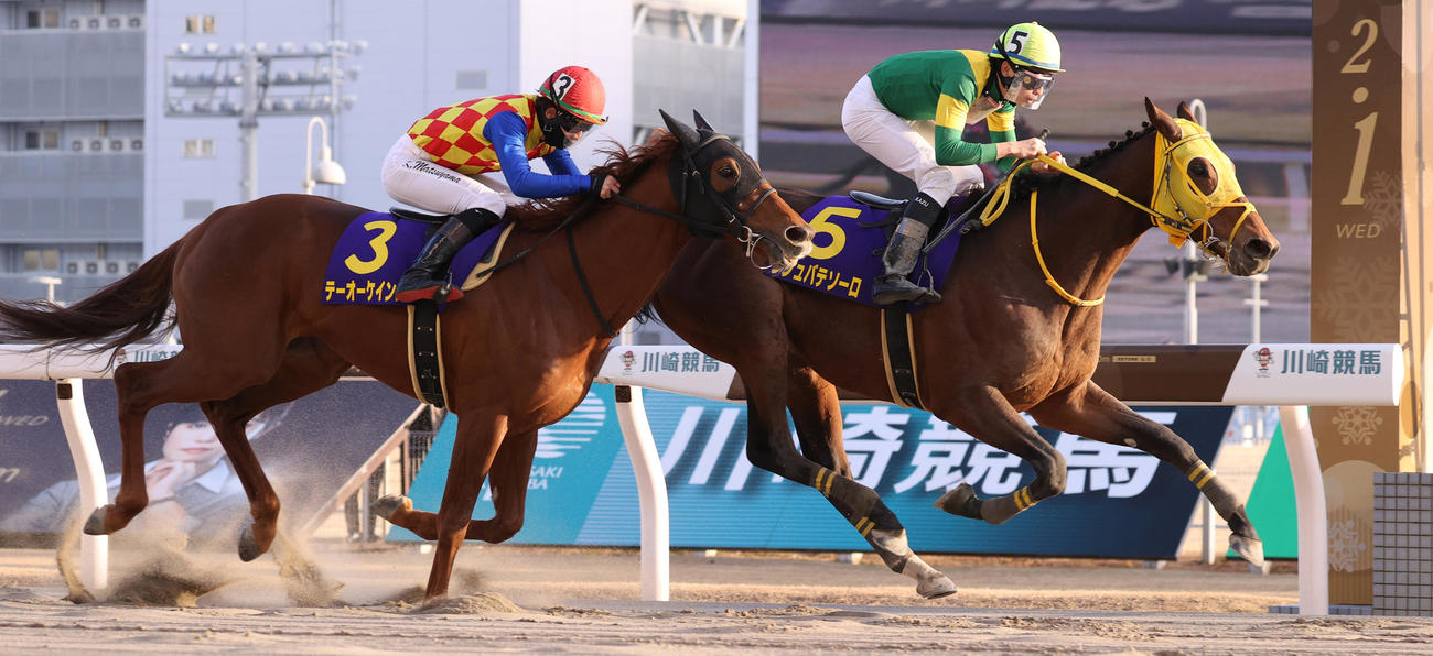 第72回川崎記念を制したウシュバテソーロ（右）（2023年2月撮影）