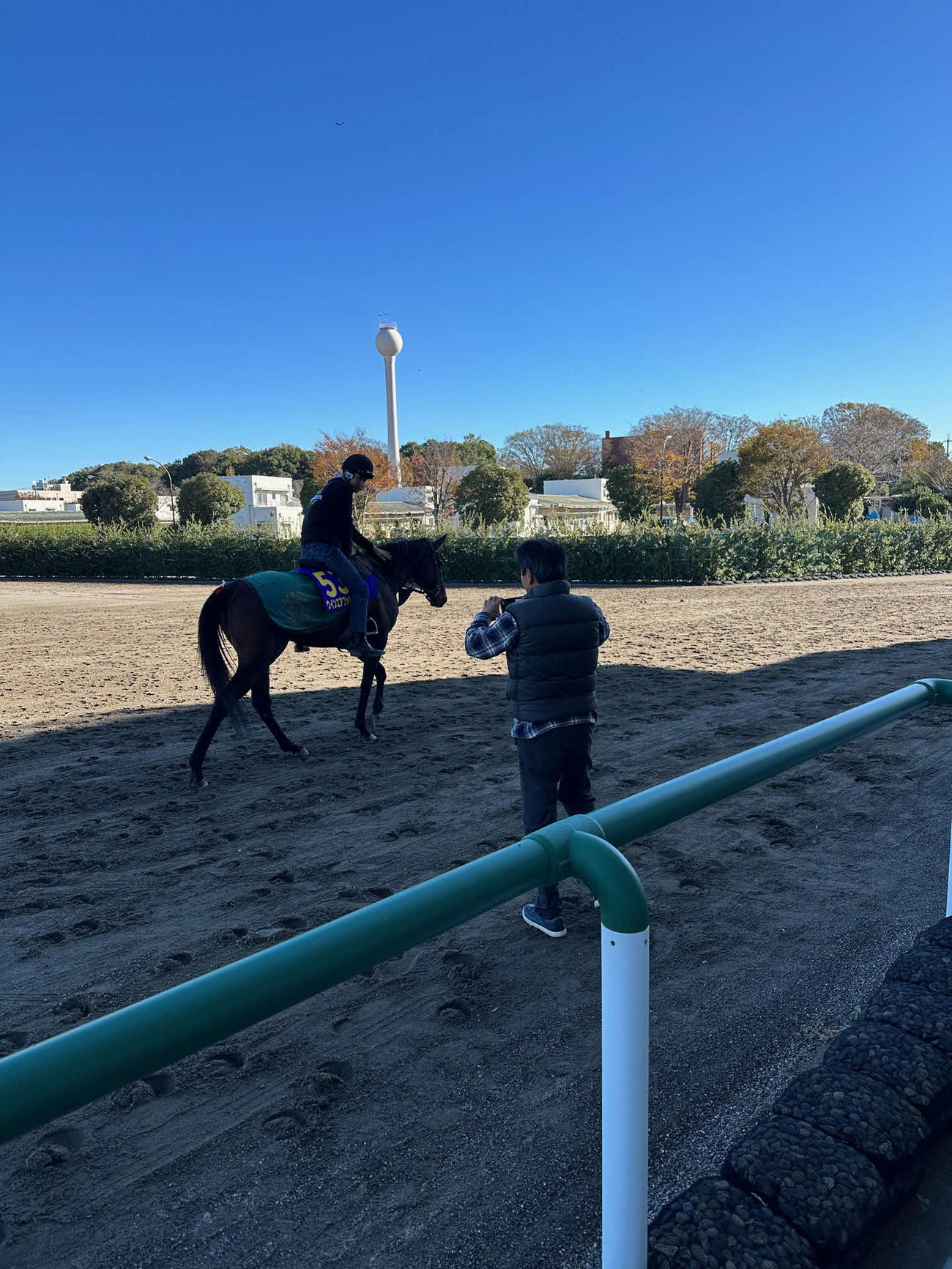 14日朝、調教へ向かうウインエアフォルクの写真を撮る根本師