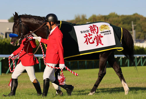 菊花賞馬ドゥレッツァは年内休養 疲れ抜け切れず出走候補の有馬記念