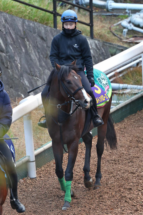 マイルCS】エルトンバローズ西村騎手が絶賛「毎日王冠と同じかそれ以上