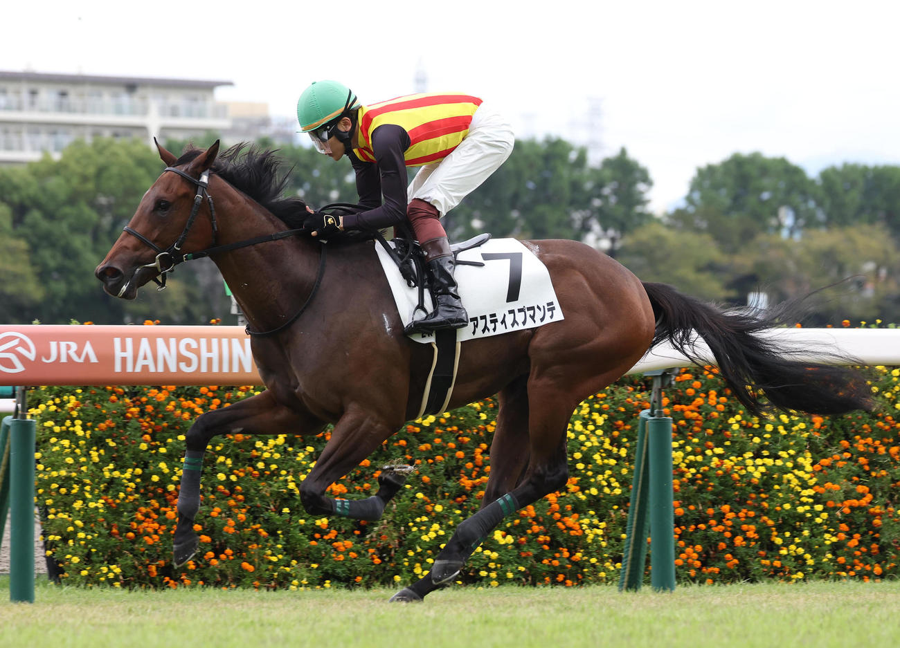 10月1日、2歳未勝利を勝ち上がったアスティスプマンテ
