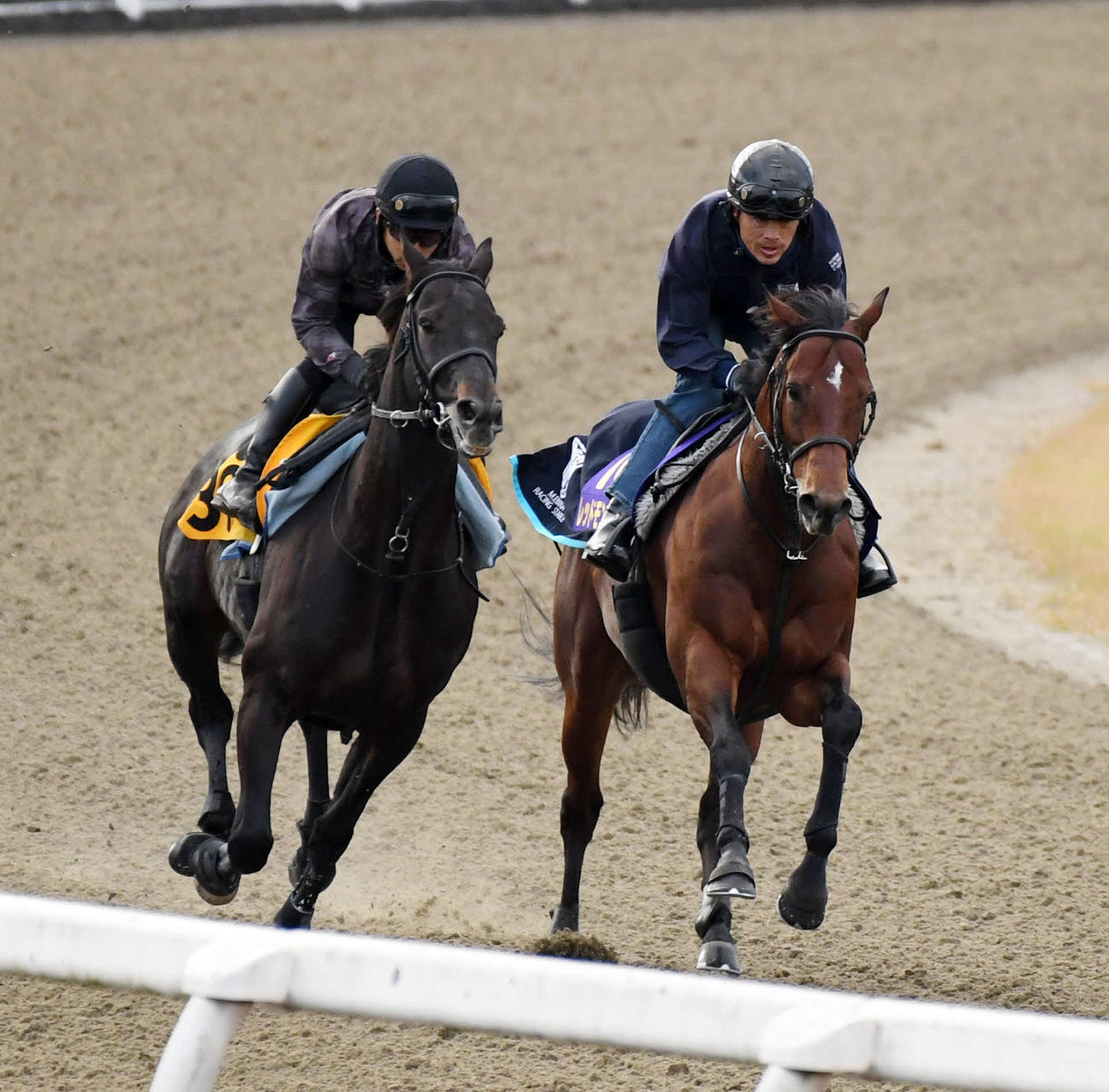 レッドモンレーヴ（右）はメリディアンローグと併せで追い切る（撮影・柴田隆二）