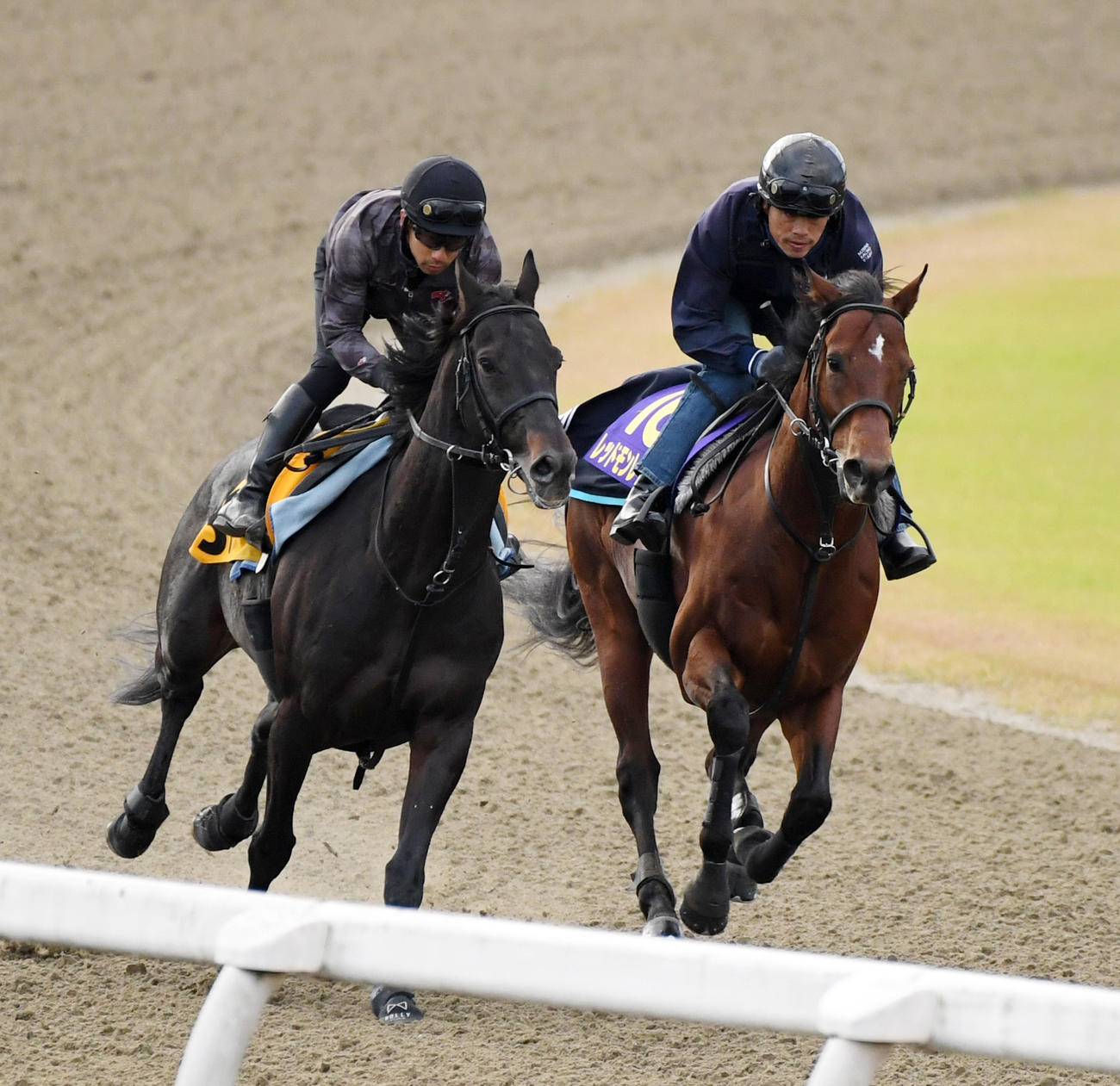 レッドモンレーヴ（右）はメリディアンローグと併せで追い切る（撮影・柴田隆二）