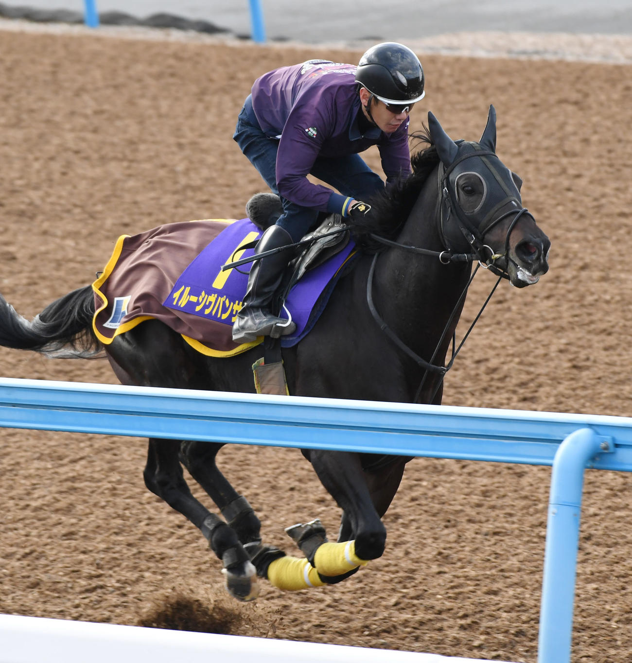 ウッドチップで追い切るイルーシヴパンサー（撮影・柴田隆二）