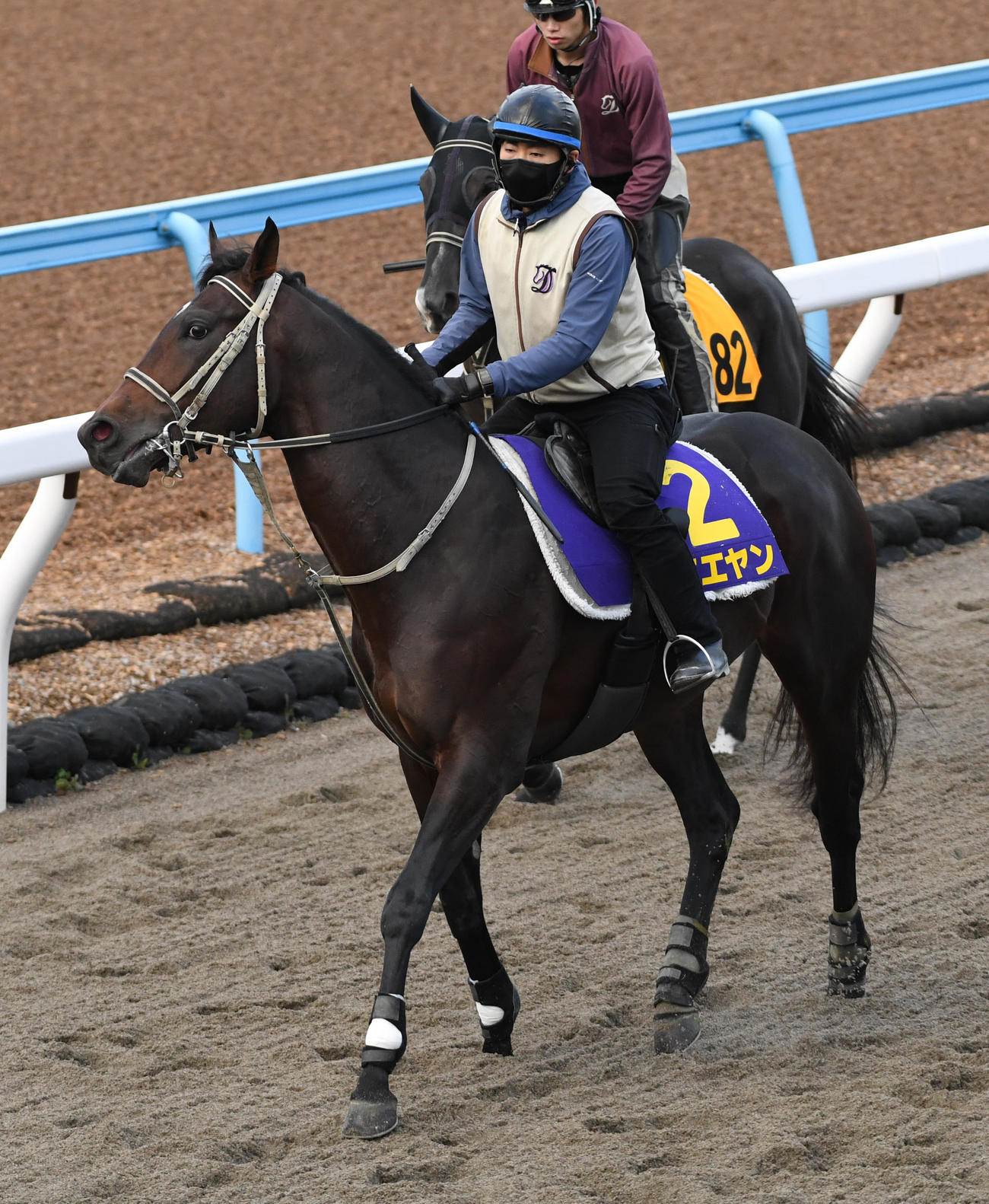 追い切りに向かうエエヤン（撮影・柴田隆二）