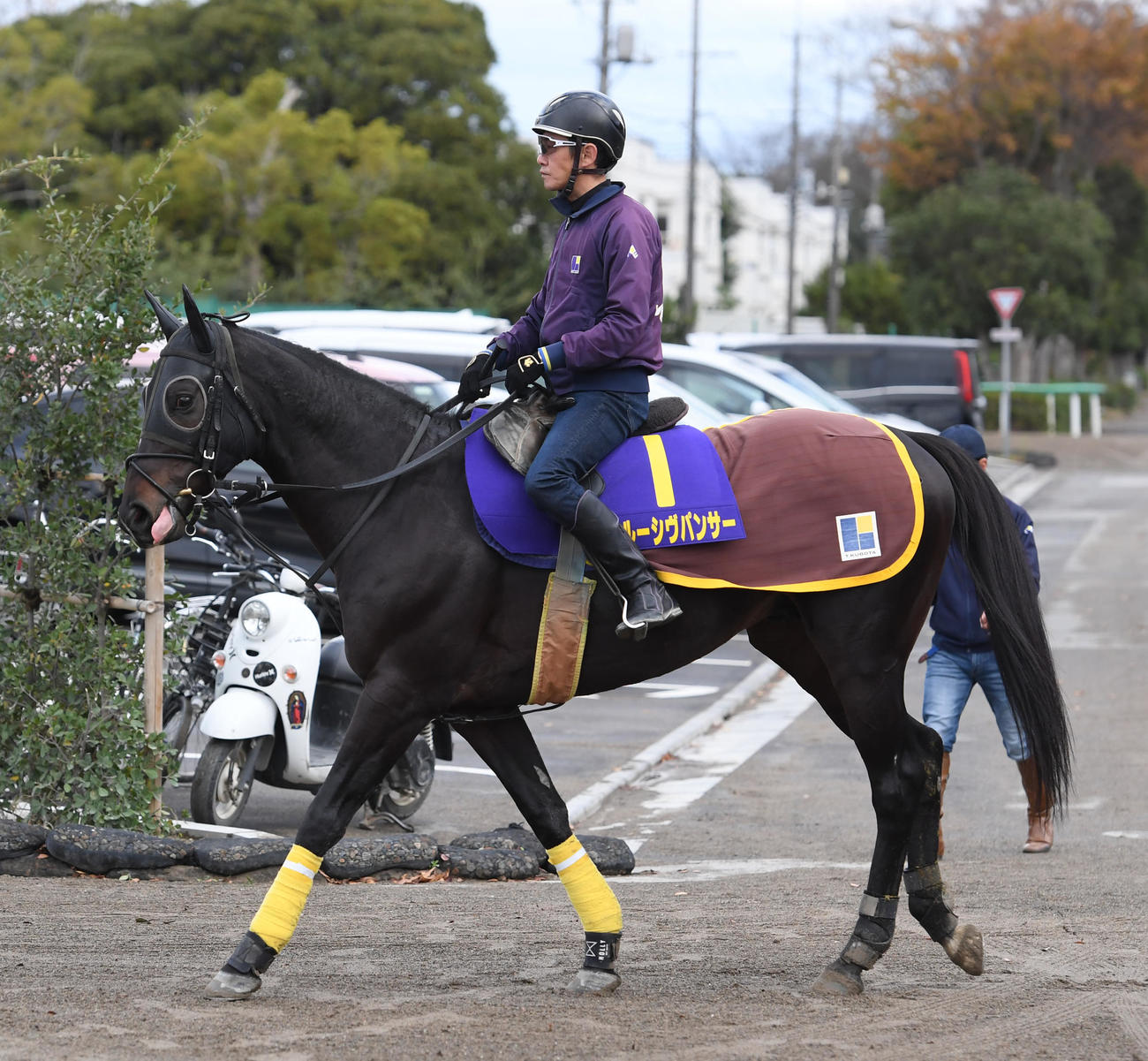 追い切りに向かうイルーシヴパンサー（撮影・柴田隆二）