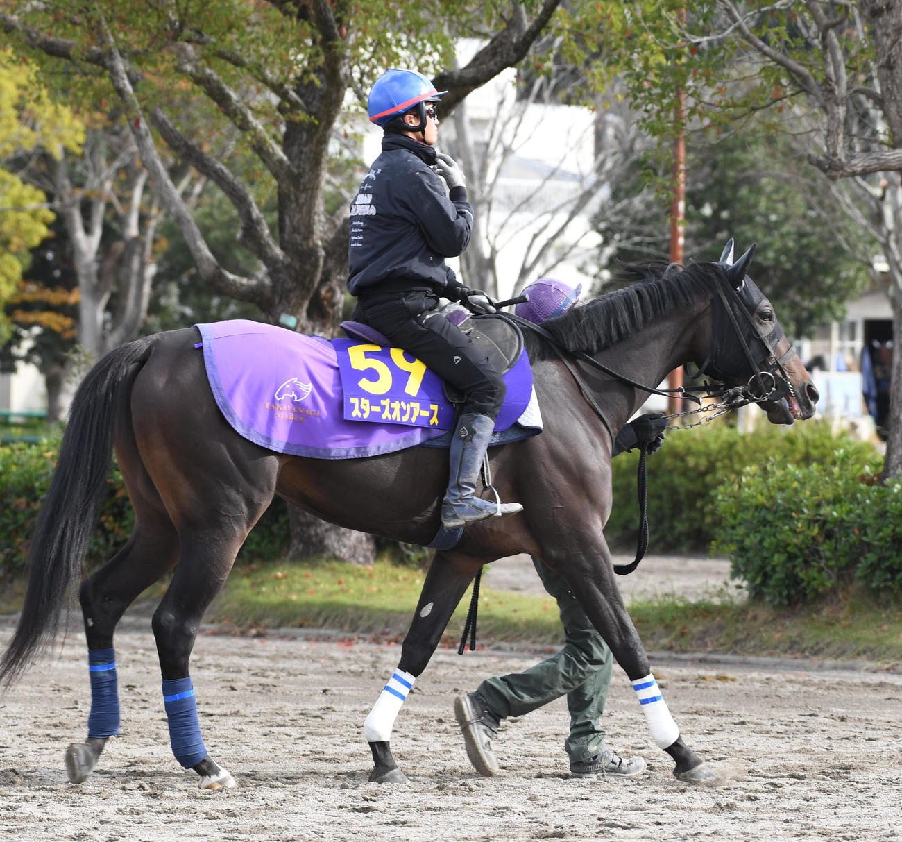 杉原騎手を背に追い切りに向かうスターズオンアース（撮影・柴田隆二）