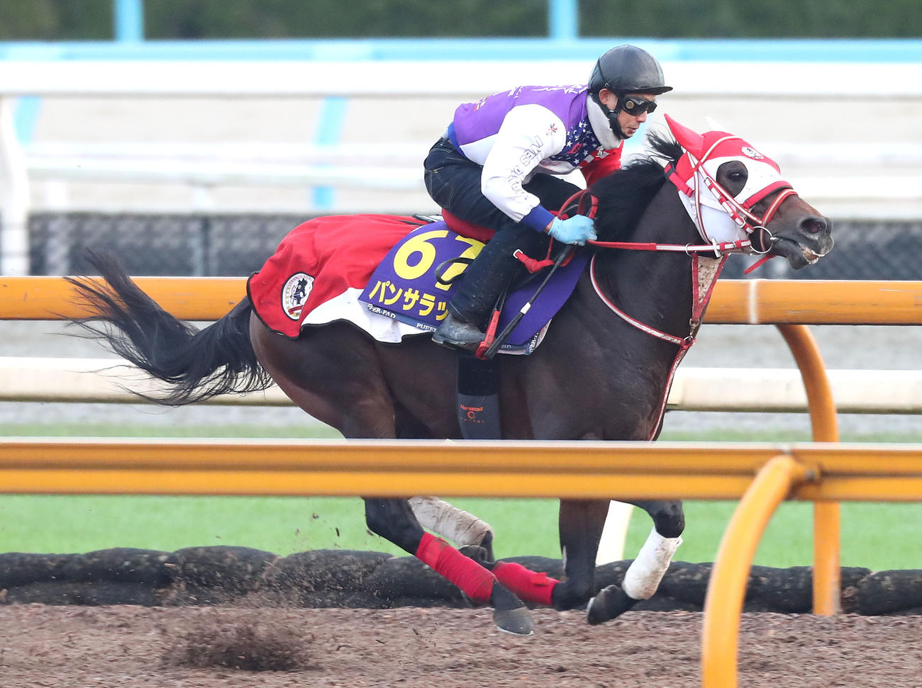 Cウッドを3頭併せで追い切るパンサラッサ（撮影・白石智彦）