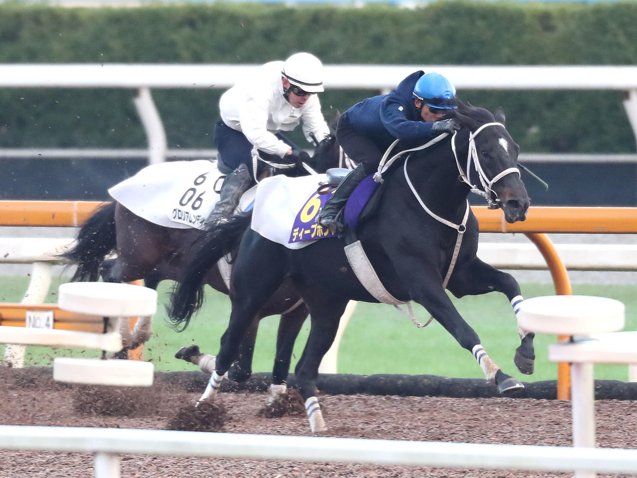 和田竜騎手を背にCウッドをグロリアムンディ（左）と併せ馬で追い切るディープボンド（撮影・白石智彦）