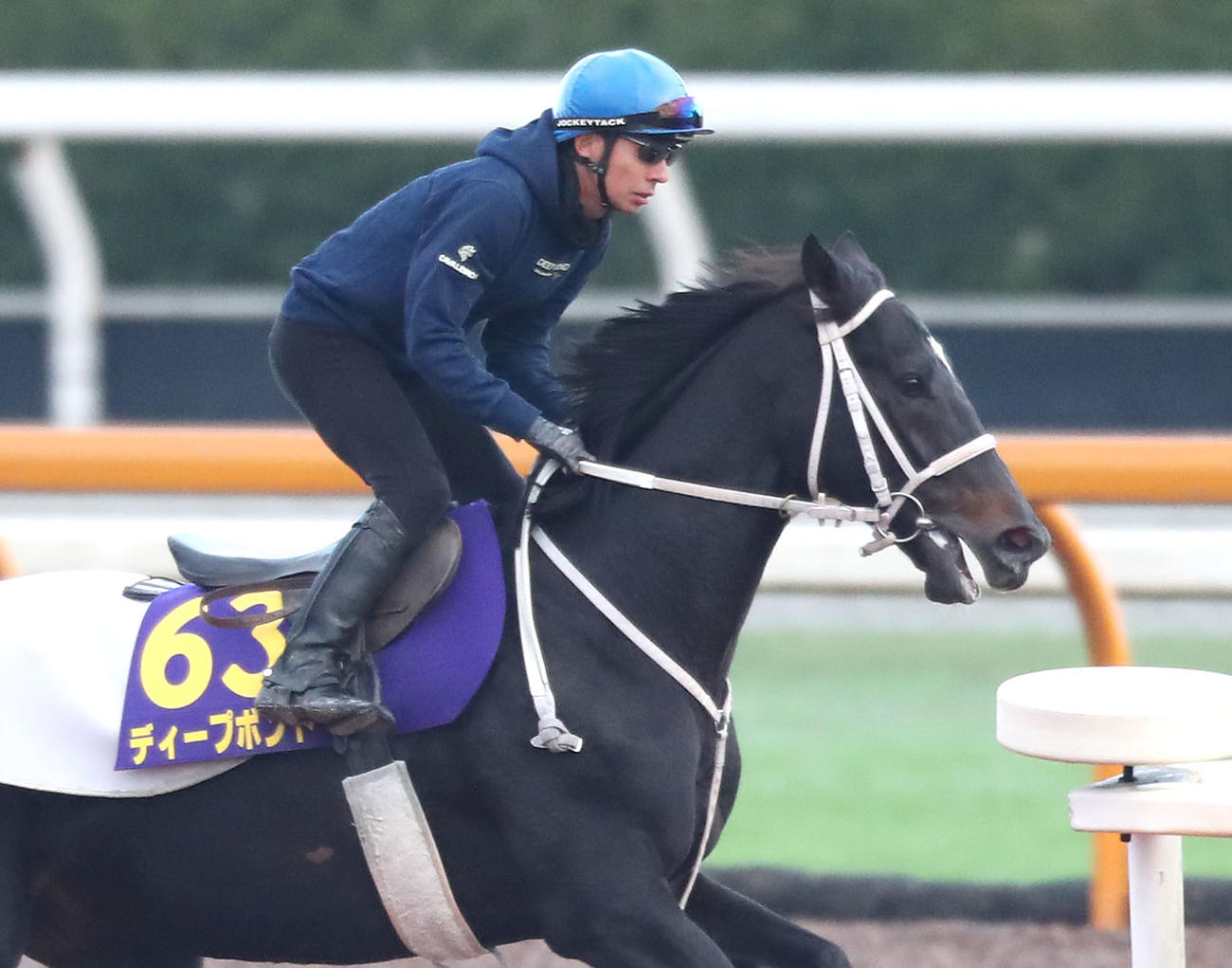 和田竜騎手を背に馬場入りするディープボンド（撮影・白石智彦）