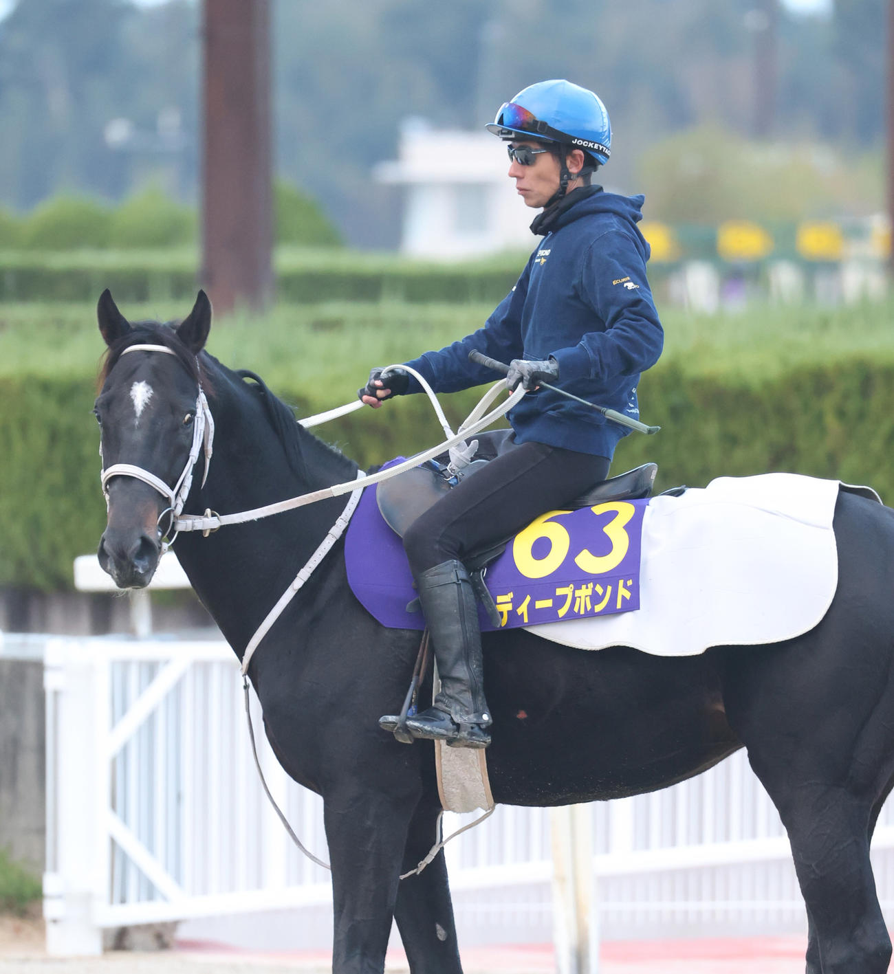 和田竜騎手を背に追い切りへ向かうディープボンド