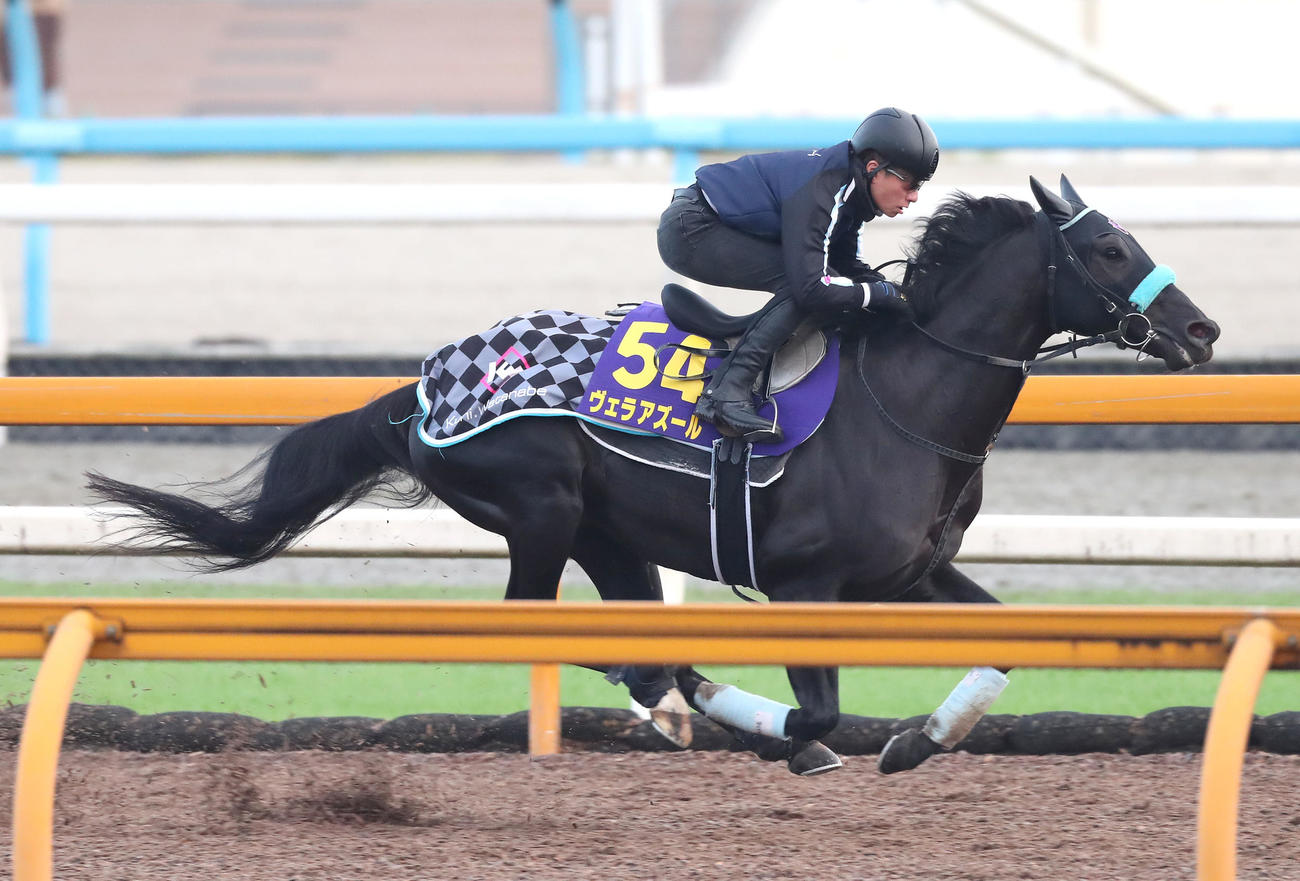 Cウッドを単走で追い切るヴェラアズール（撮影・白石智彦）