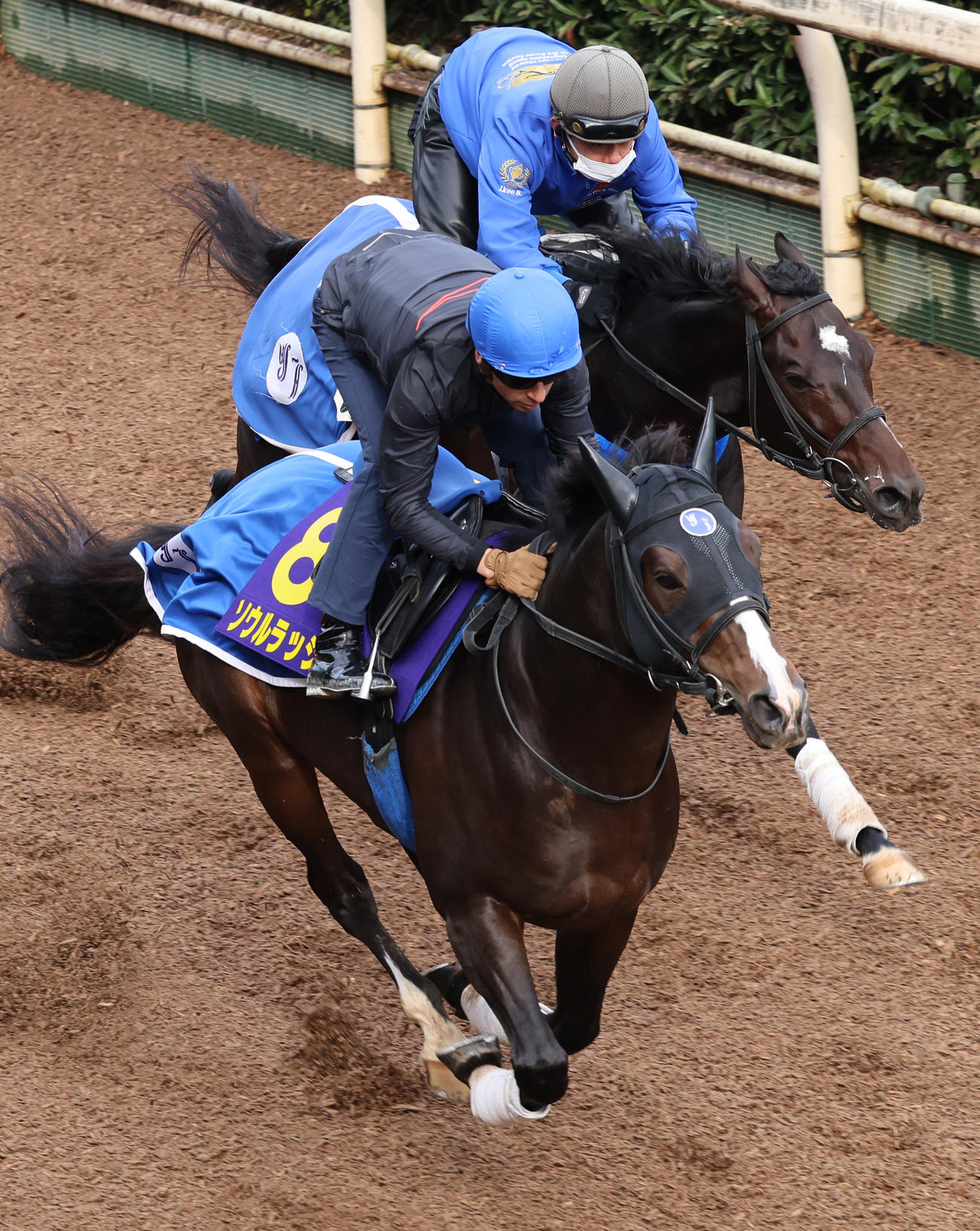モレイラ騎手が騎乗し、併せ馬に先着するソウルラッシュ（左）