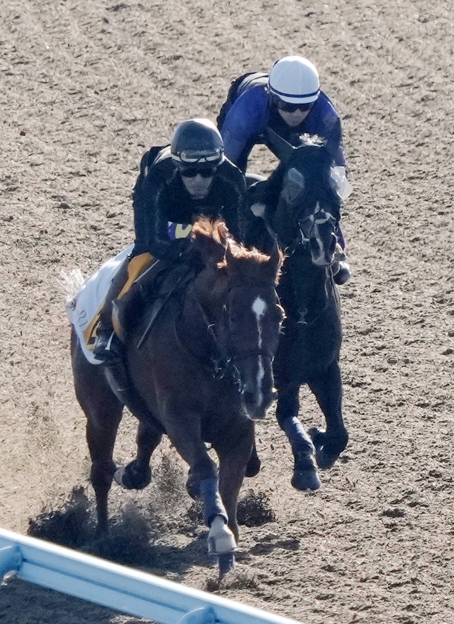 横山和騎手を背にタイトルホルダー（右）はメジャークロニクルと併せて追い切る（撮影・柴田隆二）