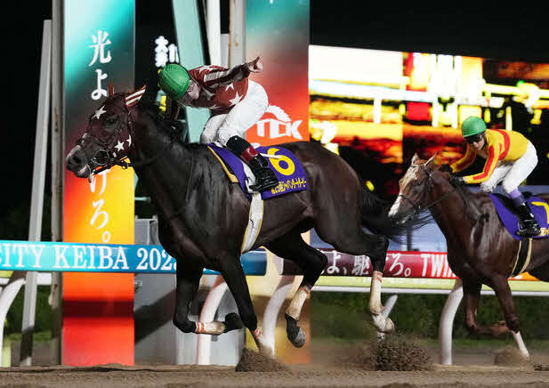 ジャパンダートダービーを制し南関東3冠を達成したミックファイア（2023年7月12日撮影）