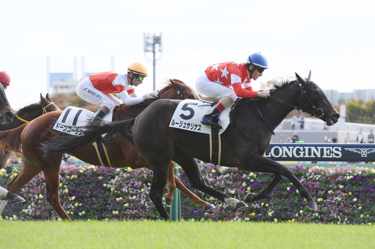 東京4R、新馬戦を制したルージュサリナス（右）、2着ドーンコーラス（撮影・柴田隆二）