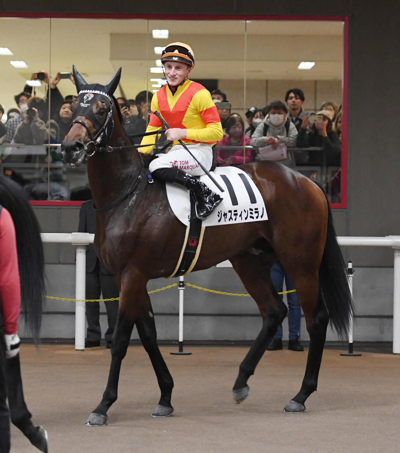 東京5R新馬戦を制したジャスティンミラノとマーカンド騎手（撮影・柴田隆二）