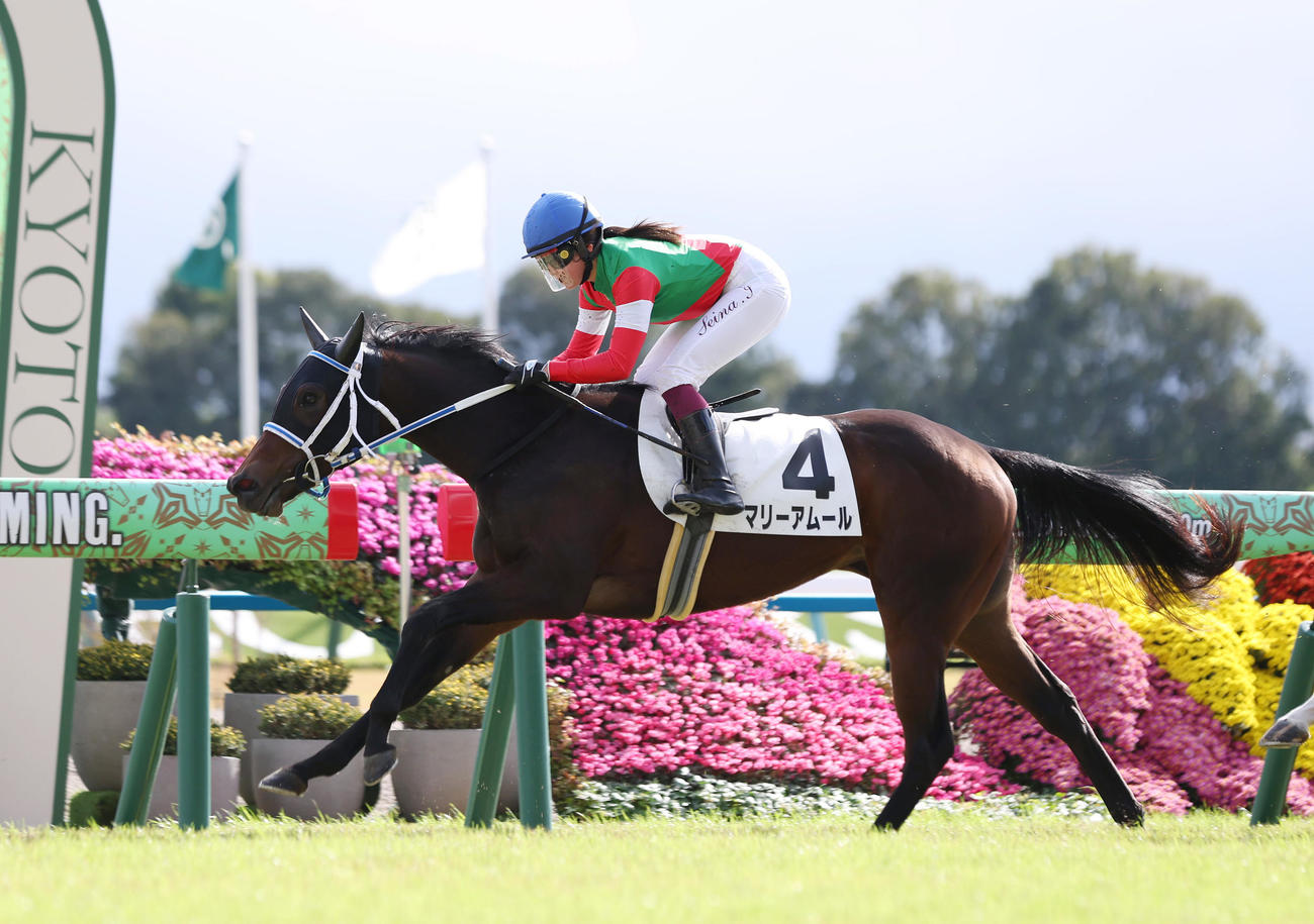 京都5R新馬戦を制したマリーアムール（撮影・前田充）