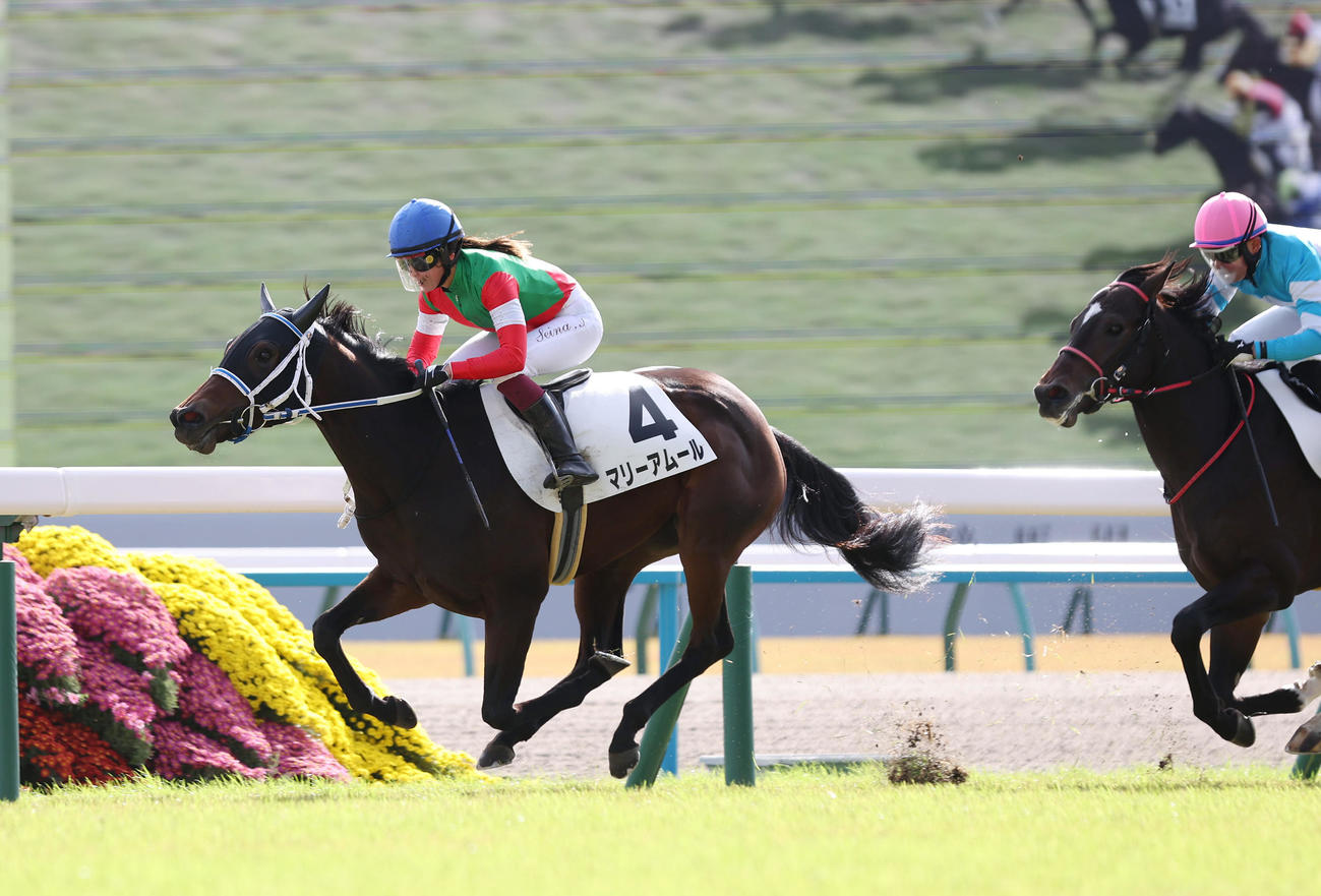 京都5R新馬戦を制したマリーアムール（撮影・前田充）