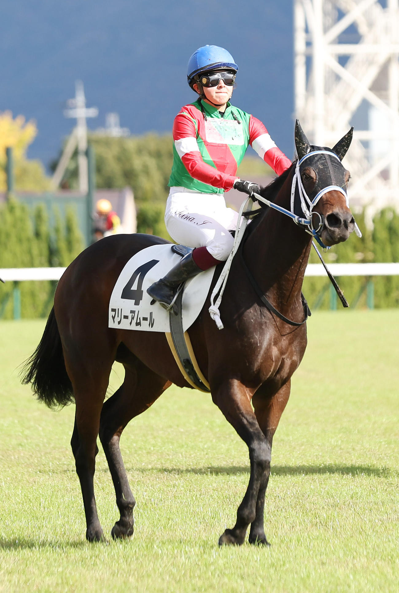 京都5R新馬戦を制したマリーアムール（撮影・前田充）