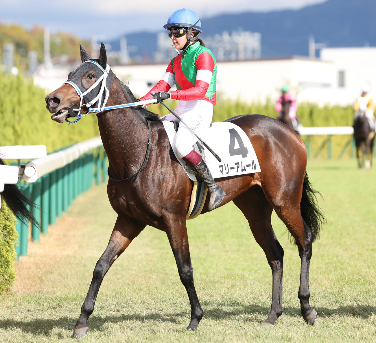 京都5R新馬戦を制したマリーアムール（撮影・前田充）