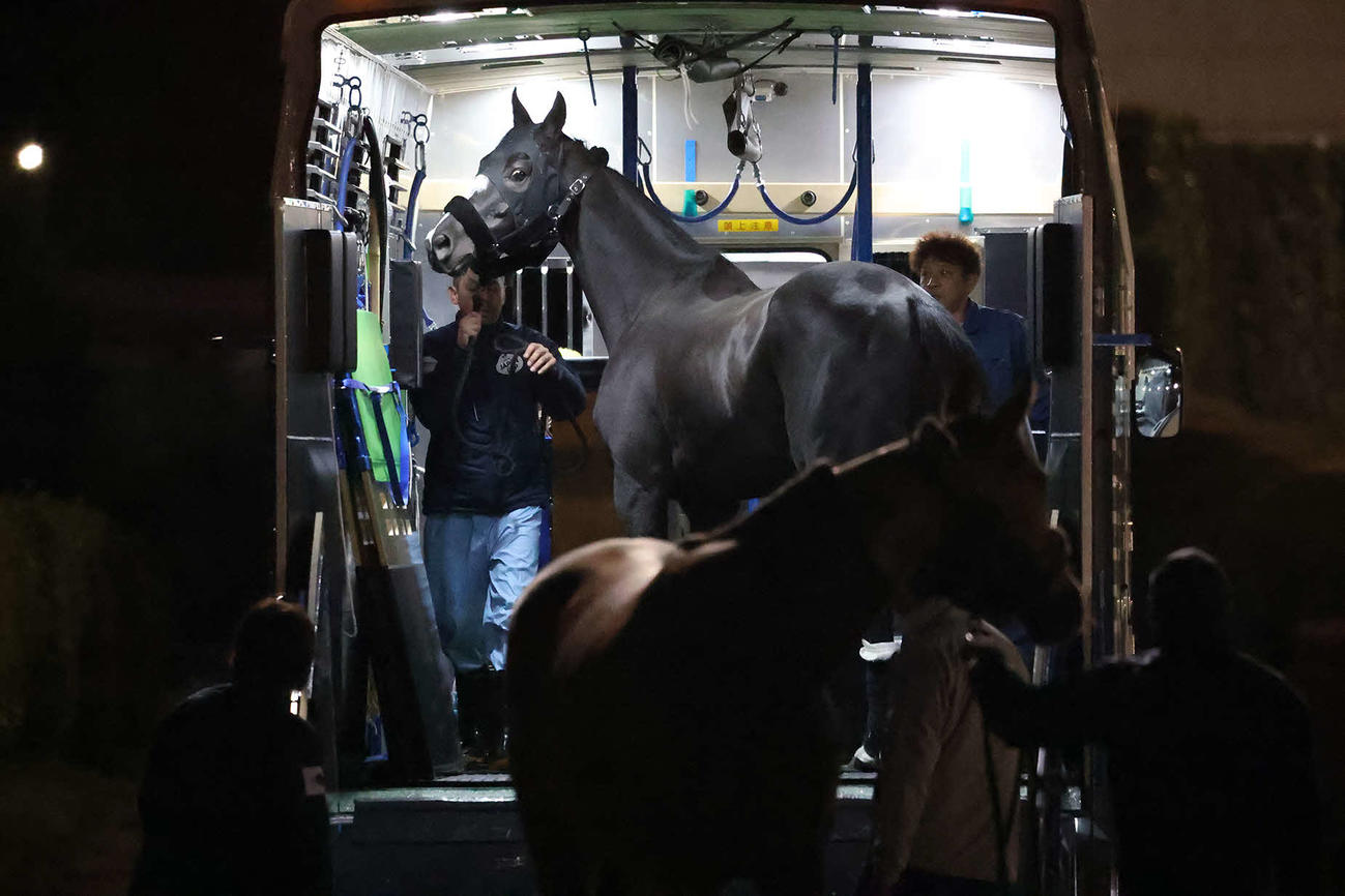 17日夜に東京競馬場に到着したイレジン（C）JRA