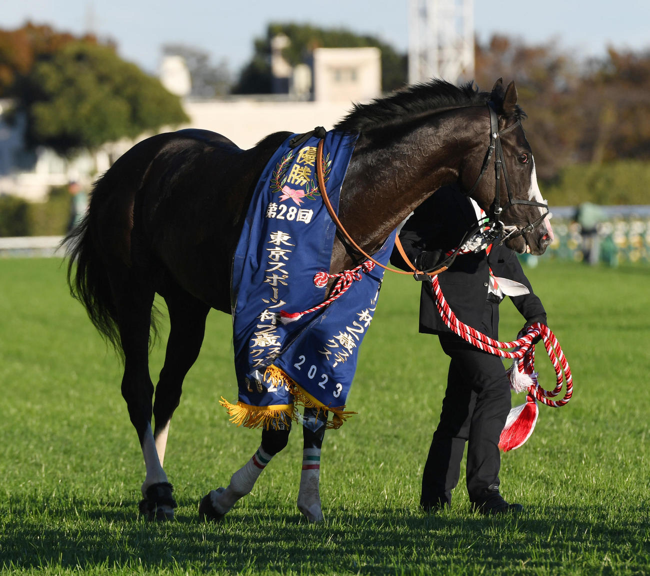 東京11R、東京スポーツ杯2歳Sを制したシュトラウス（撮影・柴田隆二）