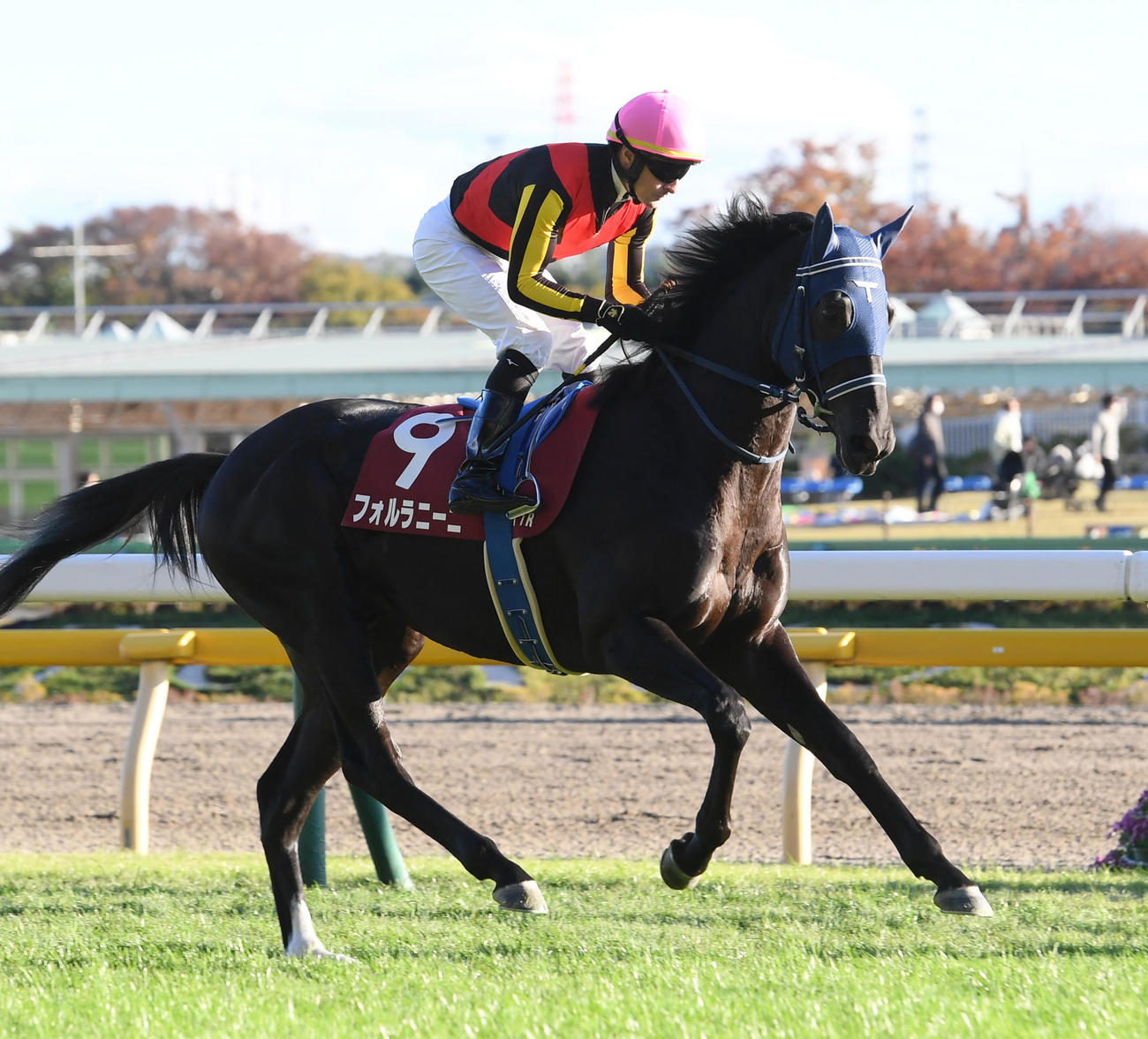 東京スポ杯2歳Sで8着に敗れたフォルラニーニとルメール騎手（撮影・柴田隆二）