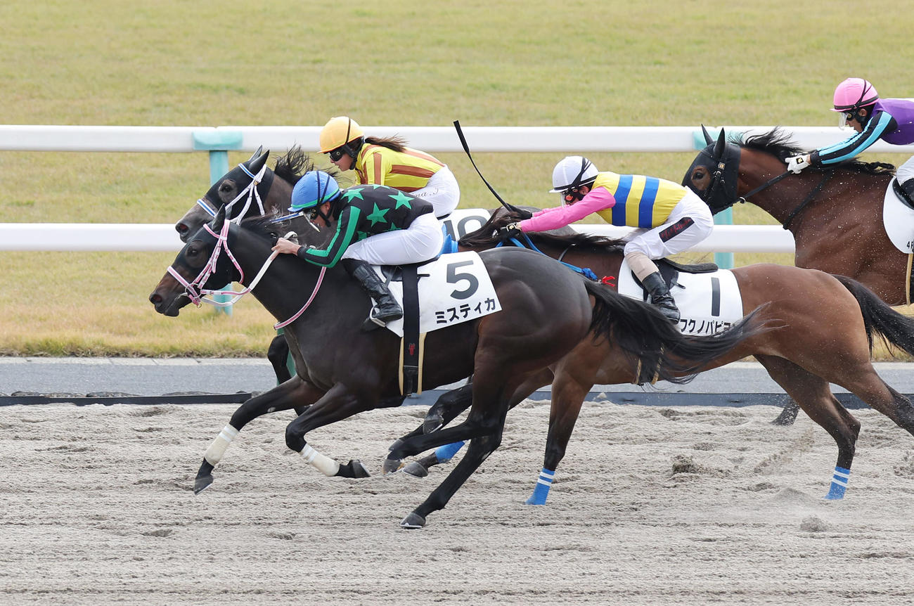 京都4R、新馬戦を制したミスティカ（手前）（撮影・前田充）