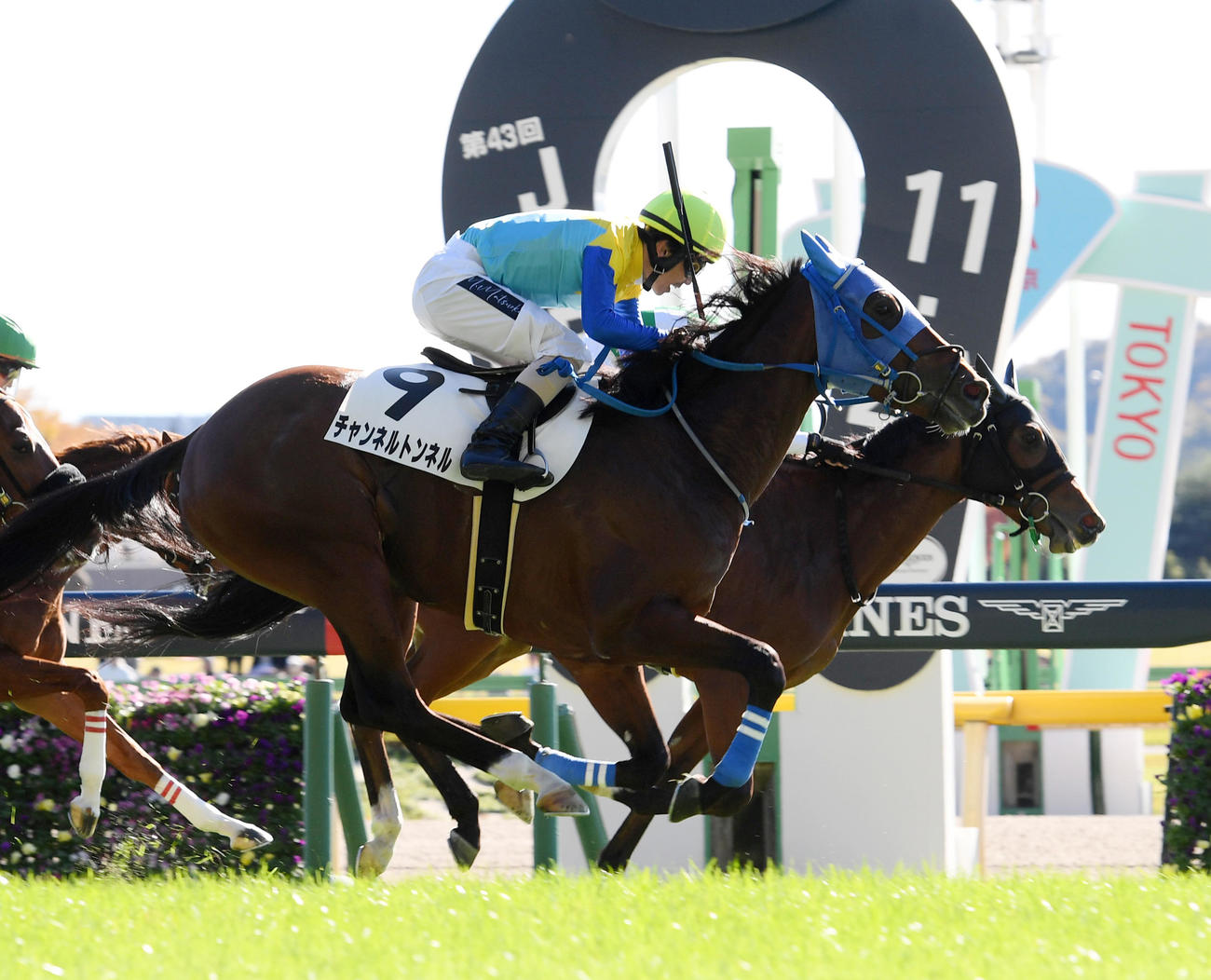 東京5R新馬戦を制したチャンネルトンネル（手前）、2着オタルグリーン（撮影・柴田隆二）