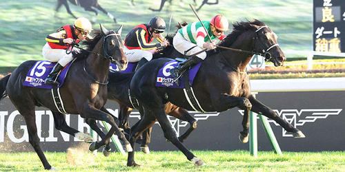 ジャパンCを制したヴェラアズールとムーア騎手。左へ3着ヴェルトライゼンデ、2着シャフリヤール(撮影・丹羽敏通)=2022年11月27日、東京競馬場