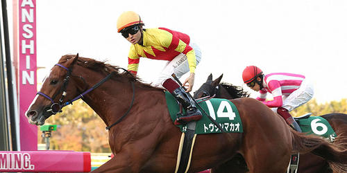 鮮やかに差し切って京阪杯を制したトウシンマカオ(撮影・白石智彦)=2022年11月27日、阪神競馬場