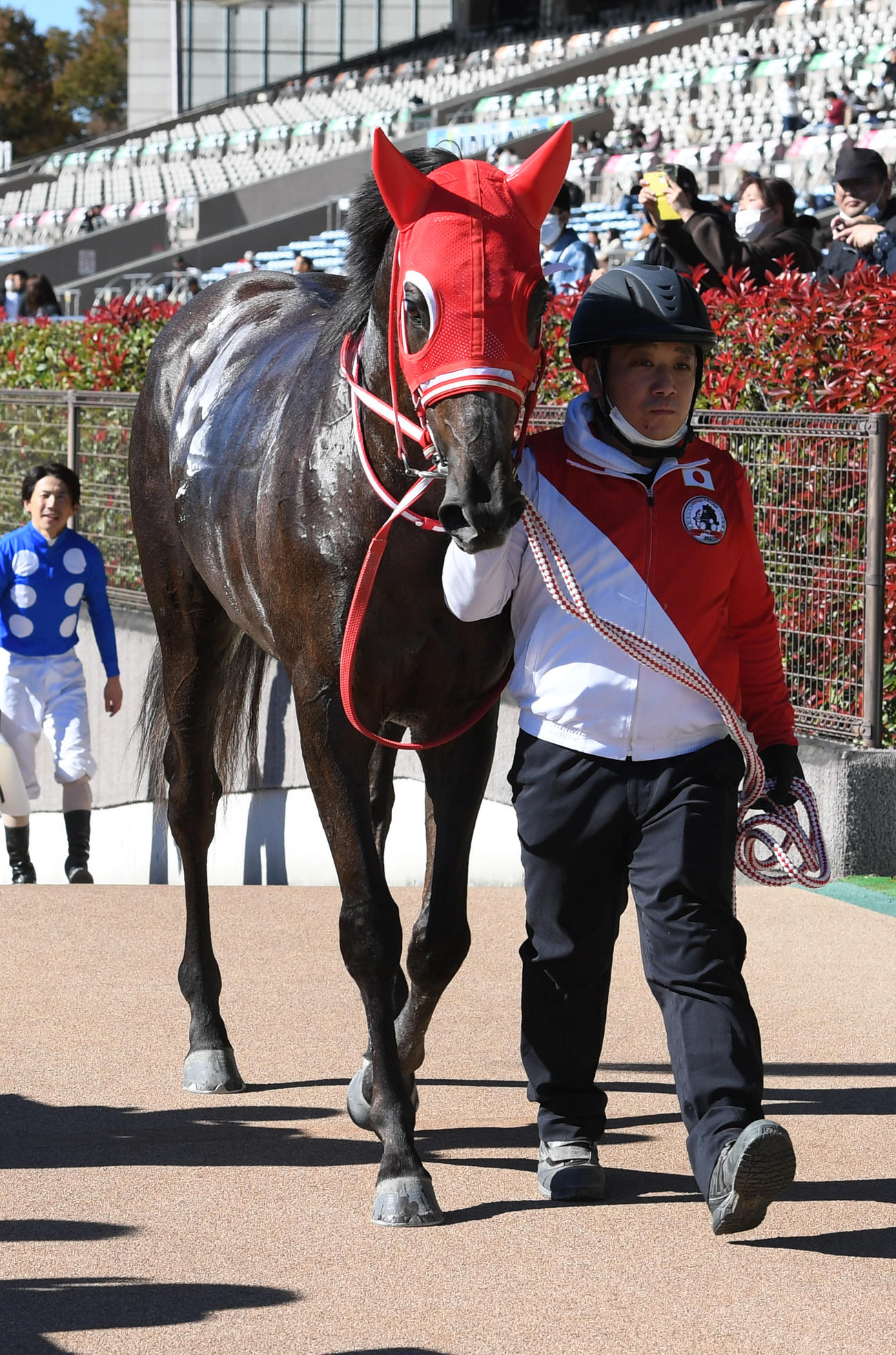 東京4R新馬戦を制したタイセイリアル（撮影・柴田隆二）