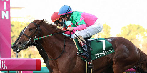 逃げ切って京都2歳Sを制したグリューネグリーン(手前)(撮影・白石智彦)=2022年11月26日、阪神競馬場