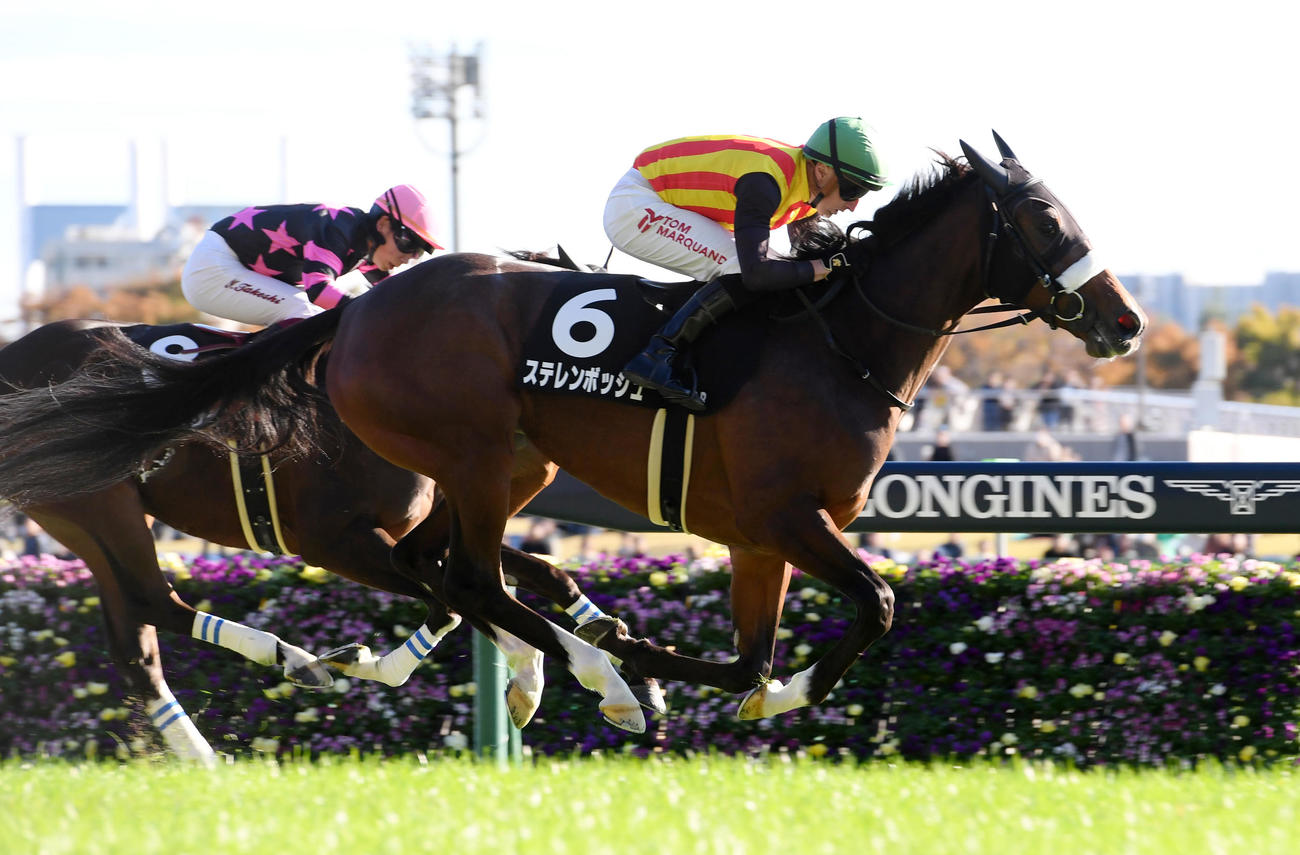 東京9R、赤松賞を制したステレンボッシュ（右）とマーカンド騎手（撮影・柴田隆二）