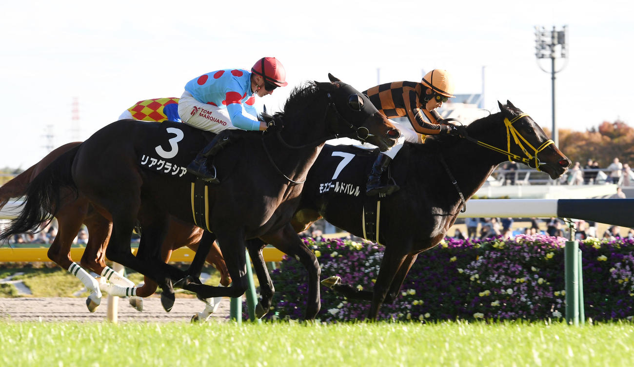 秋色Sを制したモズゴールドバレル（右）、2着リアグラシア（撮影・柴田隆二）