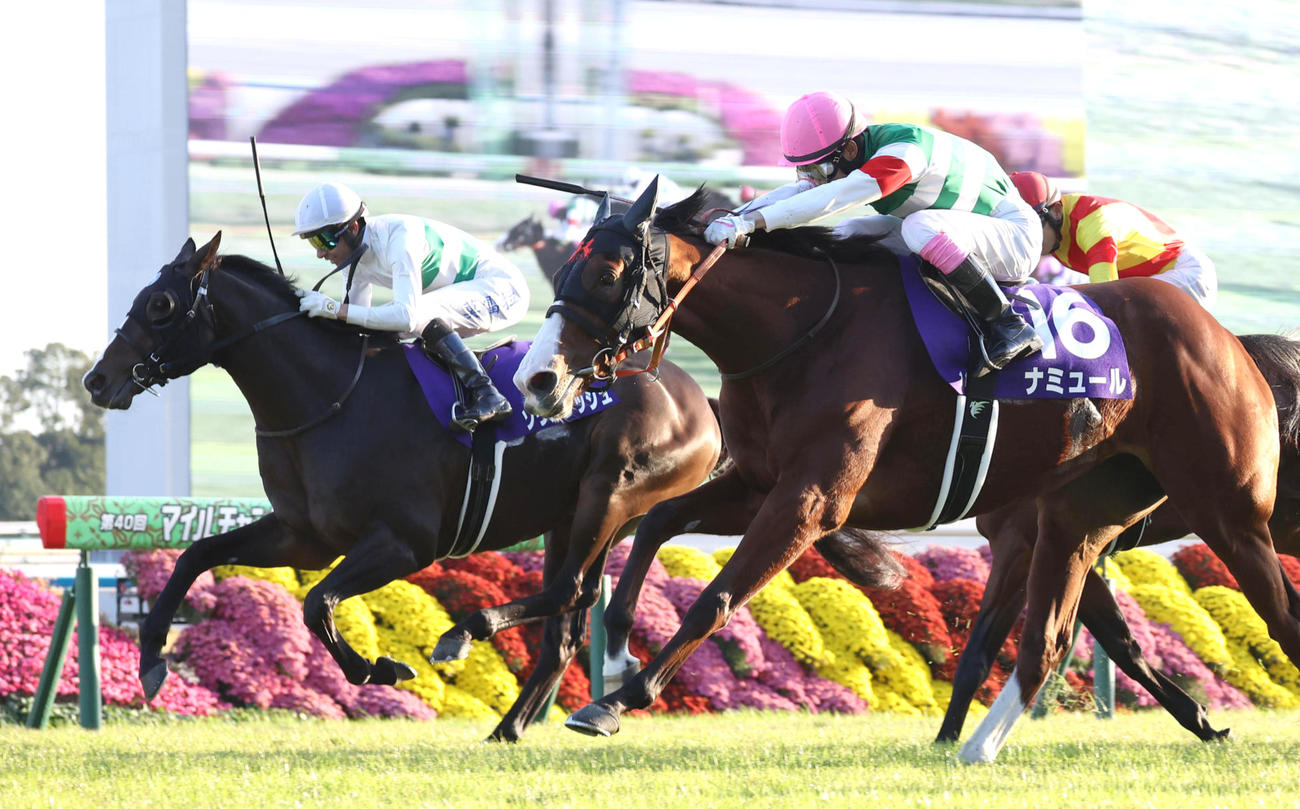 マイルCS2着に敗れたソウルラッシュ（左）。右は勝ったナミュール（撮影・白石智彦）