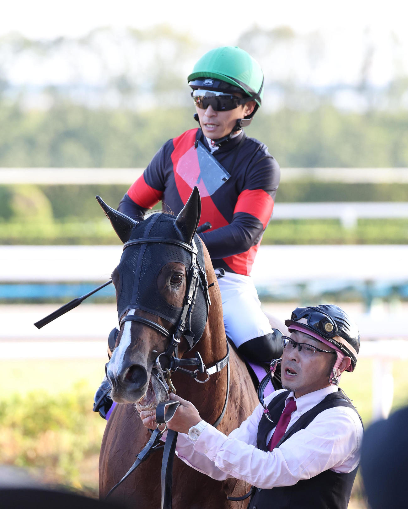 マイルCS8着に敗れたセリフォス（撮影・白石智彦）