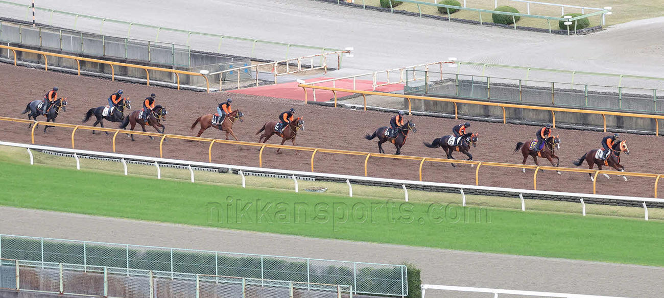 集団で調教を行う高野師の管理馬