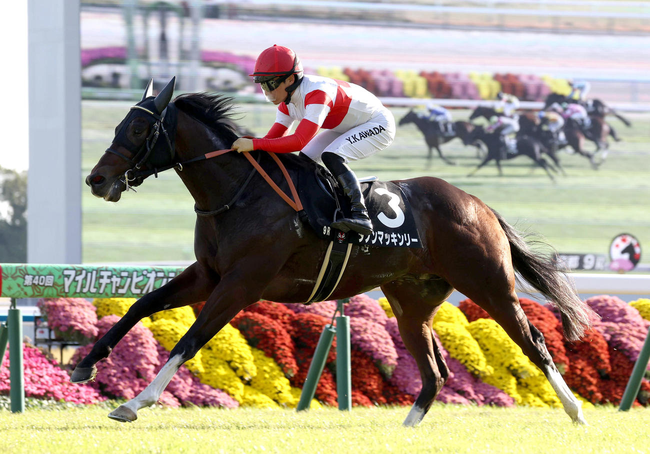 直線鋭く伸びて秋明菊賞を制したダノンマッキンリー（撮影・白石智彦）