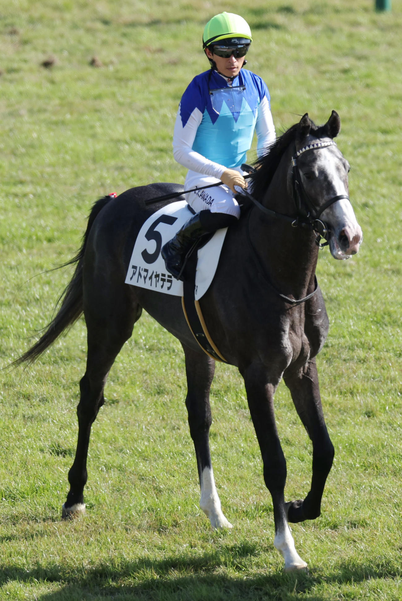 新馬戦を制したアドマイヤテラ（撮影・前田充）